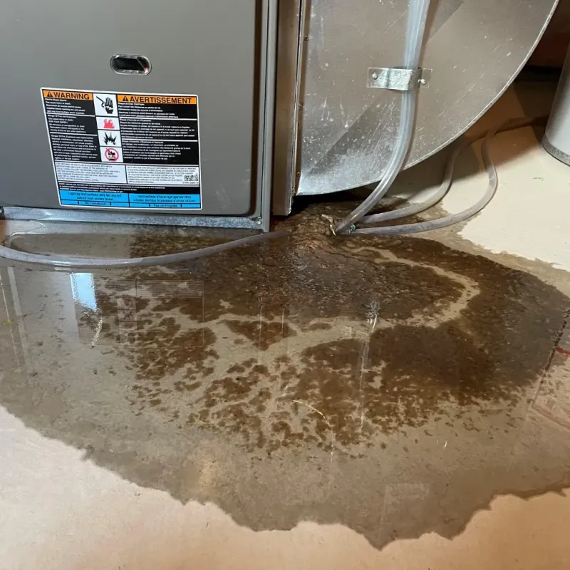Appliance Leak Cleanup in Coahoma County, MS